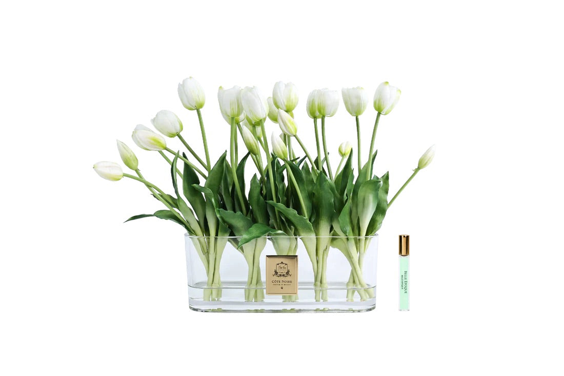Bouquet de tulipes blanches en vase