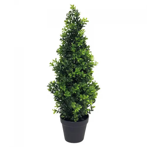 Arbre buis Orion 60cm - Maison porcel | Porcelaine