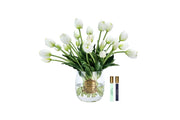Bouquet côte noire - Tulipe héritage blanc