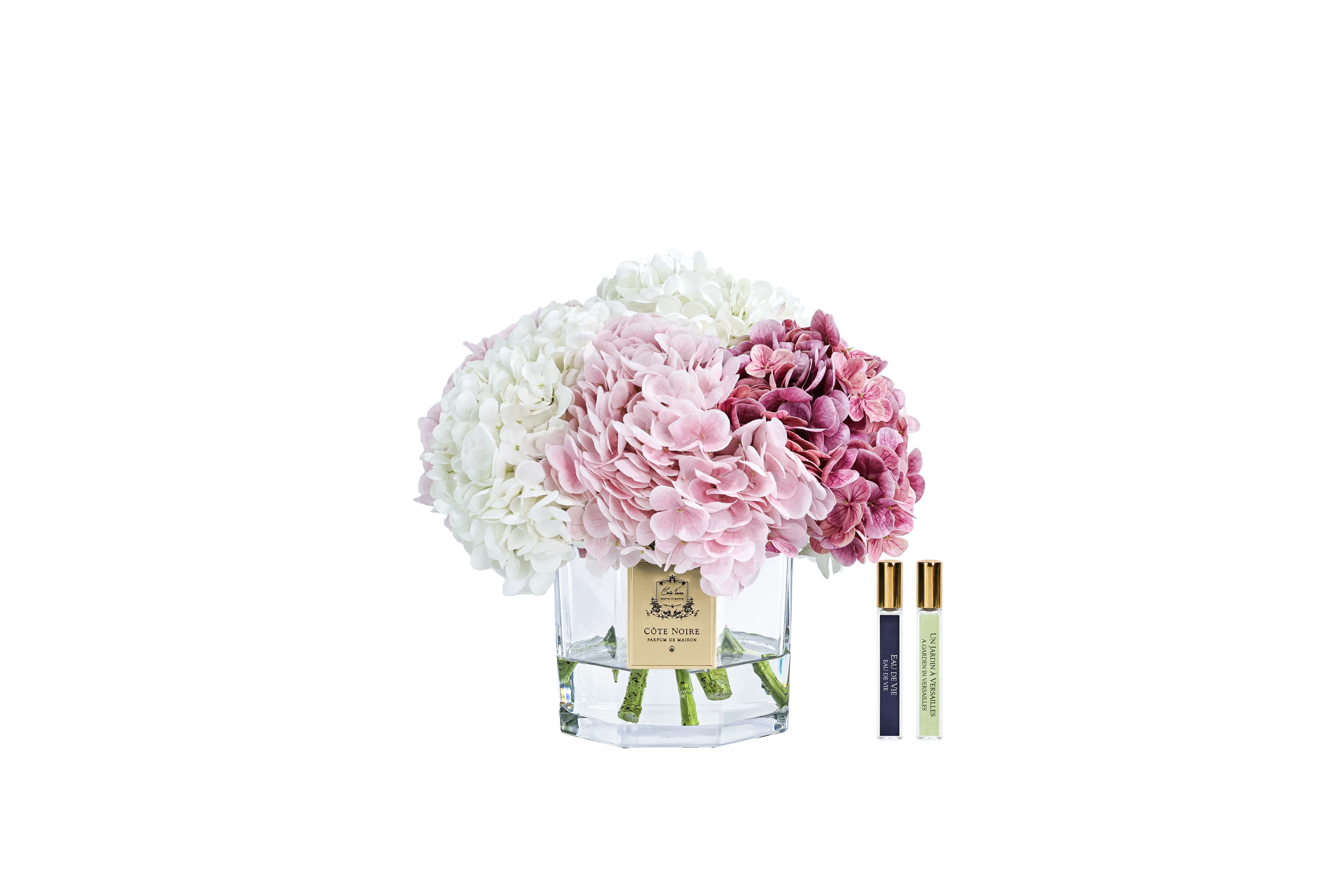 Bouquet Classique d’Hortensias – Rose