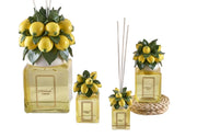 Diffuseur citronnier JAUNE - Maison porcel  | Porcelaine