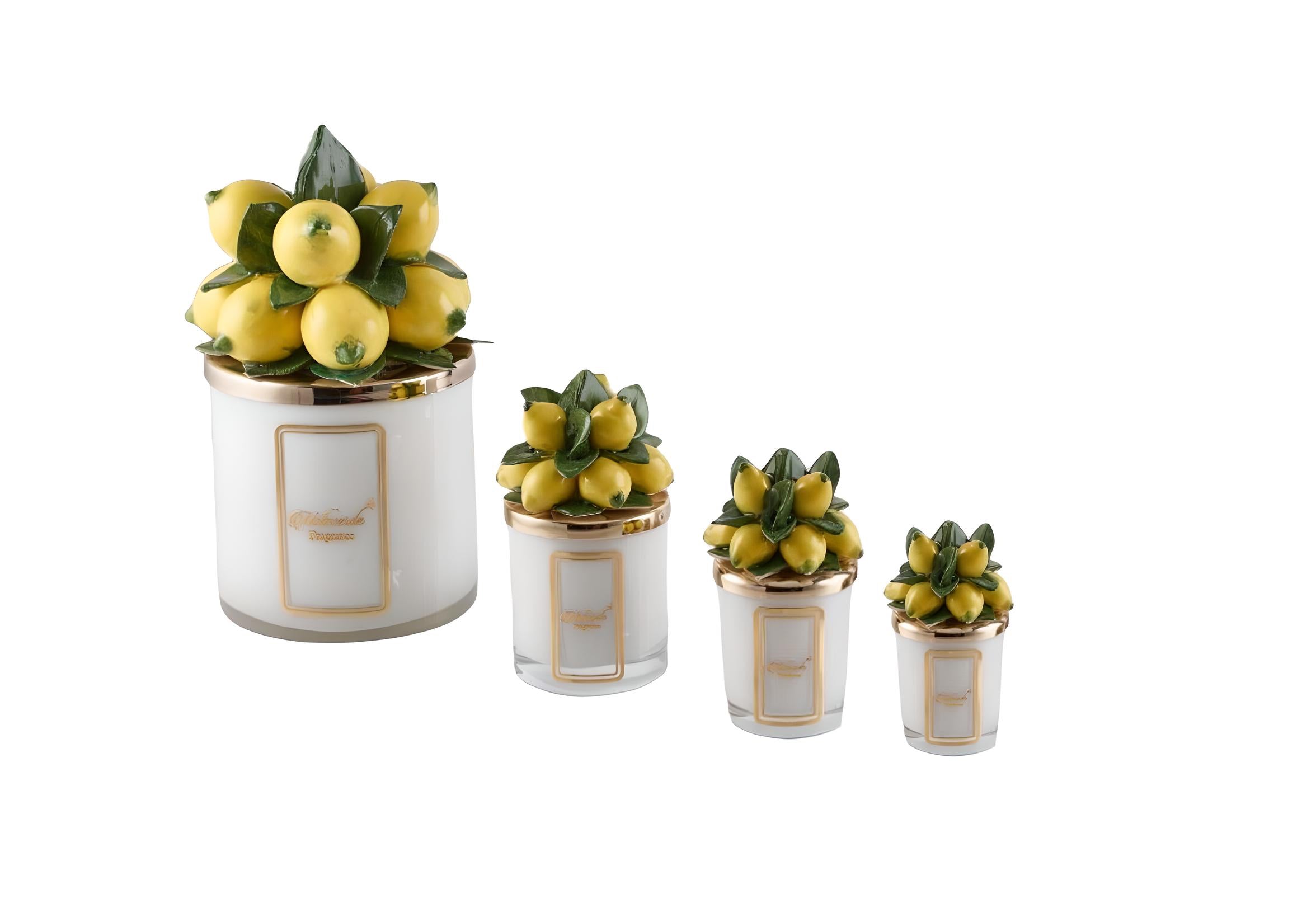 Bougie citronnier BLANC - Maison porcel  | Porcelaine