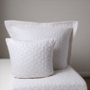 Collection Alma Neige