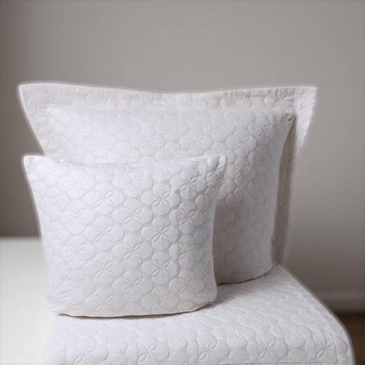 Collection Alma Neige