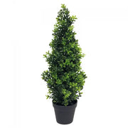 Arbre buis Orion 60cm - Maison porcel  | Porcelaine