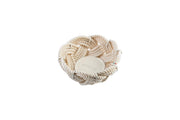 Moyen panier 26cm crème - Maison porcel  | Porcelaine